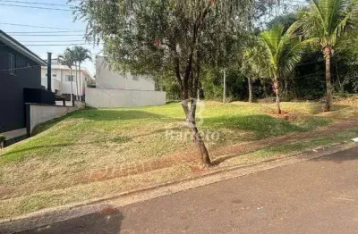 Terreno à venda, 330 m² por R$ 950.000,00 - Esperança - Londrina/PR