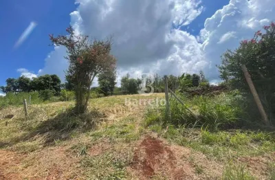 Terreno à venda, 1158 m² por R$ 140.000,00 - Água dos Cágados - Sertanópolis/PR
