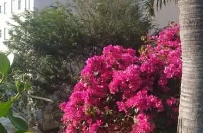Apartamento com 2 quartos à venda no Reserva Belas Nações, Bauru 