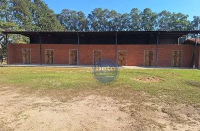 Chácara / sítio com 6 quartos à venda no Soamin, Porto Feliz 