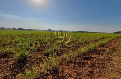 Terreno à venda em nova odessa-sp, bairro jardim das palmeiras i, com 48.400m² de área! aproveite essa oportunidade única!