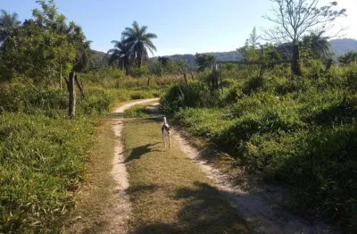 Fazenda para venda em cachoeira da prata, área rural, 2 dormitórios, 1 banheiro
