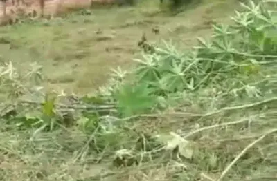 Terreno à venda no Novo Retiro, Esmeraldas 