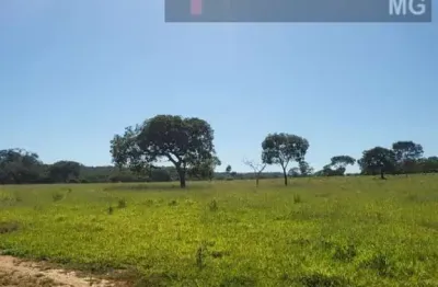 Fazenda à venda na Zona Rural, Santana de Pirapama 