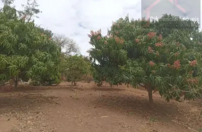 Chácara para venda em esmeraldas, área rural, 3 dormitórios, 1 suíte, 3 vagas