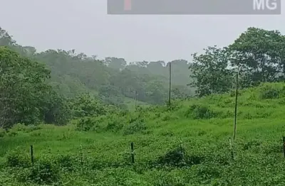 Fazenda para venda em jequitibá, área rural, 3 dormitórios, 1 banheiro
