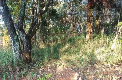 Chácara Condomínio para Venda em Esmeraldas, Santa Cecilia