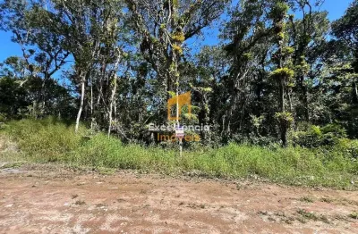 Terreno à venda na Praia Grande, Matinhos 