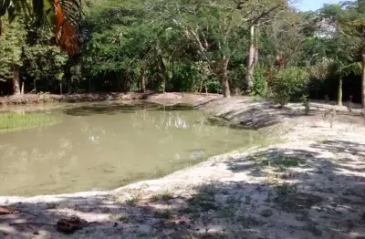 Sítio com 3 dormitórios à venda, 15000 m² por r$ 690.000,00 - morro grande - araruama/rj