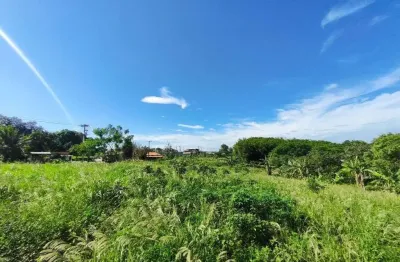 Chácara com 2 dormitórios à venda, 49000 m² por r$ 480.000,00 - banqueiros - araruama/rj
