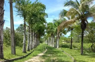 Sítio com 5 dormitórios à venda, 145200 m² por r$ 1.500.000,00 - clube engenheiros - araruama/rj