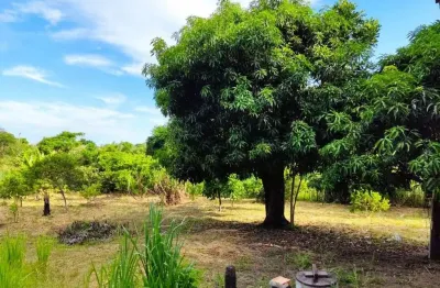 Chácara com 1 dormitório à venda, 6500 m² por r$ 250.000,00 - itatiquara - araruama/rj