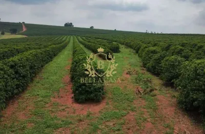 Fazenda com 107 hectares à venda por r$ 16.000.000,00 - manhuaçu - minas gerais/mg