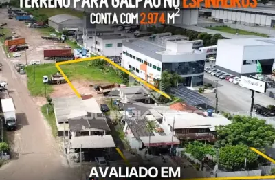 Excelente terreno para galpão na rod. jorge lacerda - espinheiros