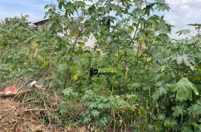 Terreno à venda, 440 m² por r$ 350.000,00 - cidade satélite - atibaia/sp