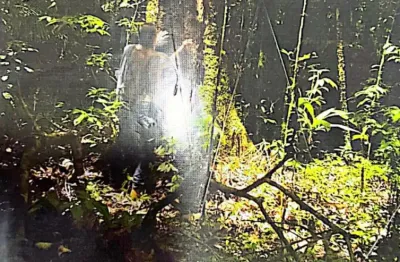 Terreno à venda na Rua Governador Pimenta Bueno, 1000, Zona Rural, Rio Preto da Eva