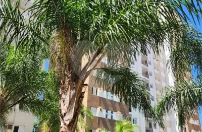 Apartamento com 3 quartos à venda em jardim dos manacás - sp