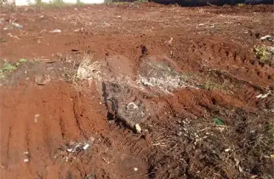 Casa com 3 quartos à venda na Ronald De Oliveira Costa, Parque das Hortências, Araraquara