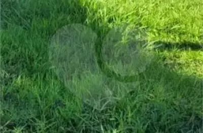 Terreno à venda no Altos do Jaraguá, Araraquara 