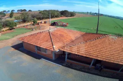 Comercial para aluguel, 7 quartos, taquari dos polacos - ponta grossa/pr