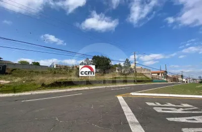 Lote/terreno para aluguel, jardim carvalho - ponta grossa/pr