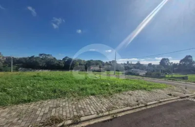 Terreno à venda na Estrada João Henrique Van Wilpe, Jardim Carvalho, Ponta Grossa