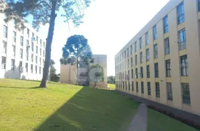 Apartamento com 3 quartos para alugar na Rua Vereador Ernâni Batista Rosas, Jardim Carvalho, Ponta Grossa