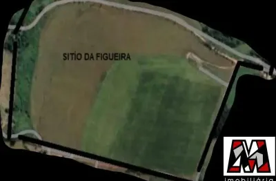 Sítio com ótima topografia, bairro pedregulho, itu, permuta