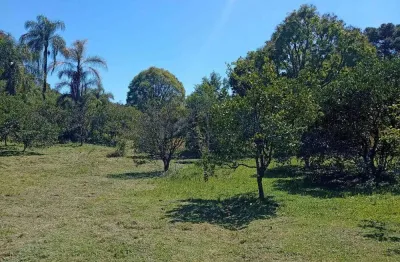 Chácara / sítio à venda no Forqueta, Caxias do Sul 