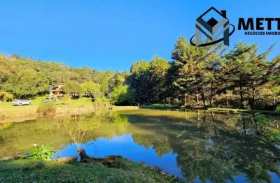 Chácara / sítio com 5 quartos à venda na fazenda souza, caxias do sul , 20000 m2 por r$ 1.100.000