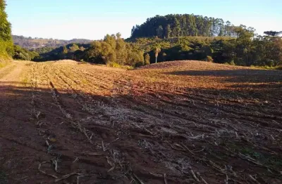 Terreno à venda no Forqueta, Caxias do Sul 