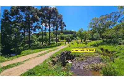 Chácara / sítio com 2 quartos à venda no Forqueta, Caxias do Sul 
