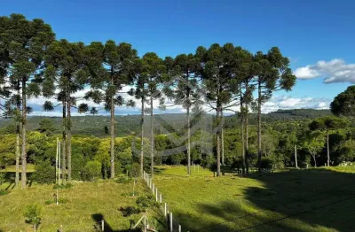 Chácara / sítio à venda na Ana Rech, Caxias do Sul 