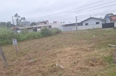 Terreno à venda na Rua Manoel Correa, 875, Itacolomi, Balneário Piçarras