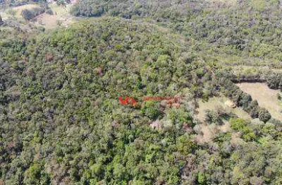 Área à venda, 34000 m² por r$ 350.000,00 - centro - cabreúva/sp