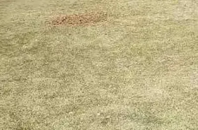 Terreno em condomínio fechado à venda na Rua Uvaia, Jardim Residencial Alto de Itaici, Indaiatuba
