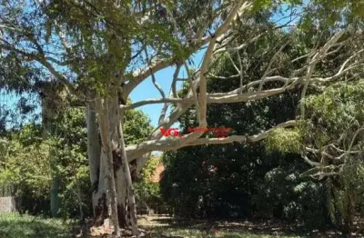 Terreno à venda, 2350 m² por R$ 1.100.000,00 - Vale das Laranjeiras - Indaiatuba/SP