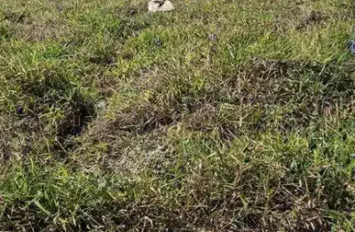 Terreno residencial à venda, 150 m², plano, jardim das araras, indaiatuba.