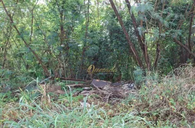 Terreno residencial à venda, 1000 m², recanto campestre internacional de viracopos, indaiatuba.