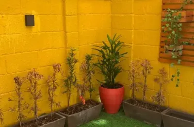 Apartamento com 2 quartos para alugar na Rua Sucupió, 10, Catu de Abrantes, Camaçari