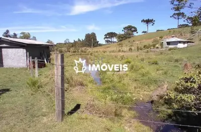Chácara / sítio com 3 quartos à venda na Estrada Municipal Que Liga Vila Seca A São Francisco De Paula, 1, Vila Seca, Caxias do Sul