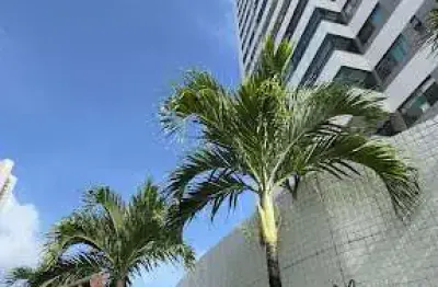 Vende-se apartamento amplo com 3 suites, área comum completa no bairro rosarinho