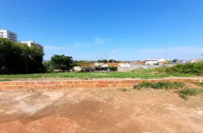 Terreno comercial para alugar na Avenida Carlos Fernandes, Jardim Bianco, São José do Rio Preto