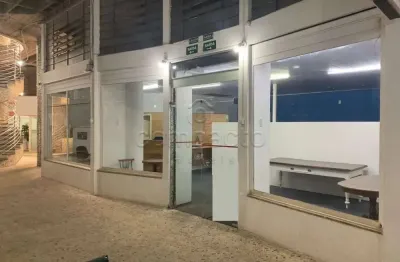 Ponto comercial para alugar na Rua Bernardino de Campos, Centro, São José do Rio Preto