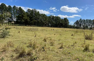 Terreno comercial para alugar na Estrada Municipal para José Domingues Netto, Vila Azul (Zona Rural), São José do Rio Preto