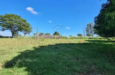 Chácara / sítio com 4 quartos à venda no Centro, Santa Albertina 