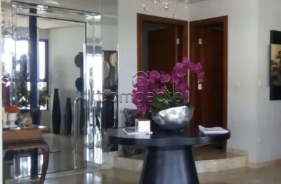 Apartamento com 4 quartos à venda no Boa Vista, São José do Rio Preto 