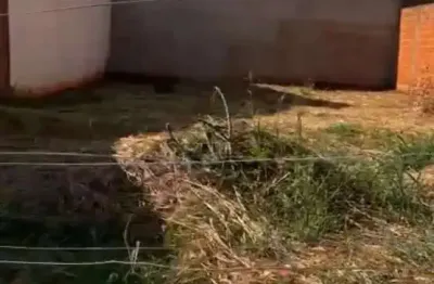 Terreno à venda no Jardim Caetano II, São José do Rio Preto 
