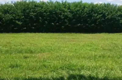 Terreno em condomínio fechado à venda na Terras da Barra, Mendonça 