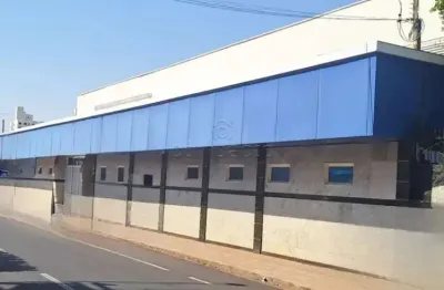 Prédio para alugar na Rua Doutor Presciliano Pinto, Boa Vista, São José do Rio Preto